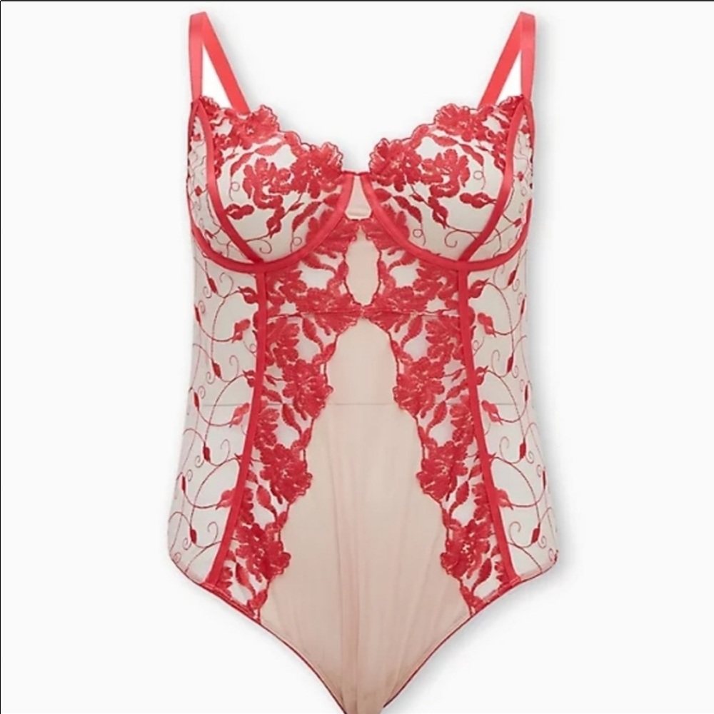 NWT Embroidered Mesh Underwire Bodysuit